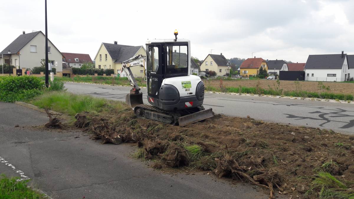 Chantier de dessouchage Rixheim