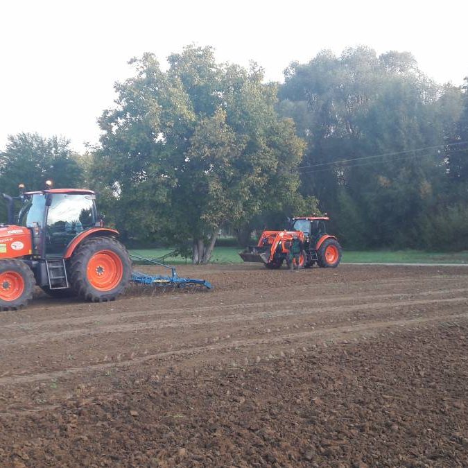 Travaux d’engazonnement Riedisheim 1