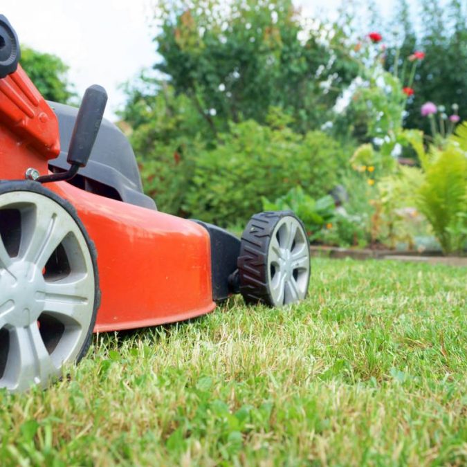 Paysagiste pour l&rsquo;entretien de votre jardin dans le Sundgau Riedisheim 2