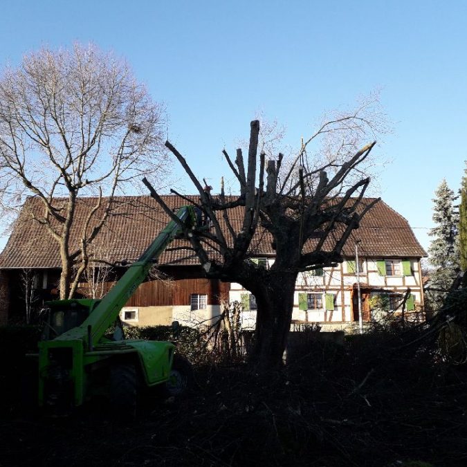 Elagage Wittelsheim 3